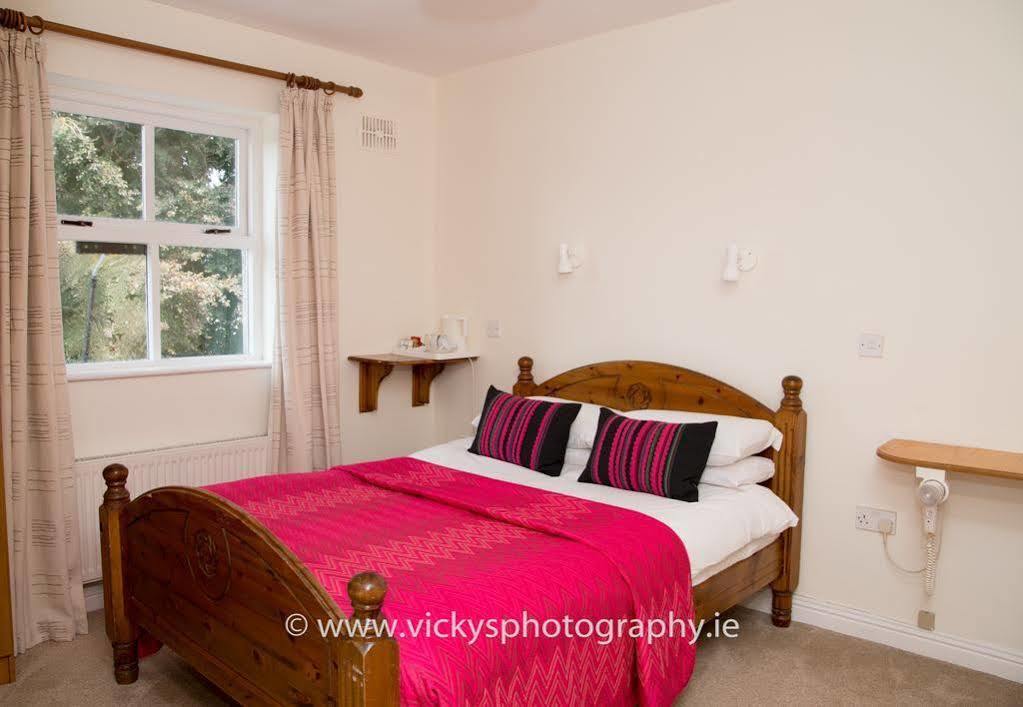 The Townhouse Bed and Breakfast Kilkenny Zewnętrze zdjęcie